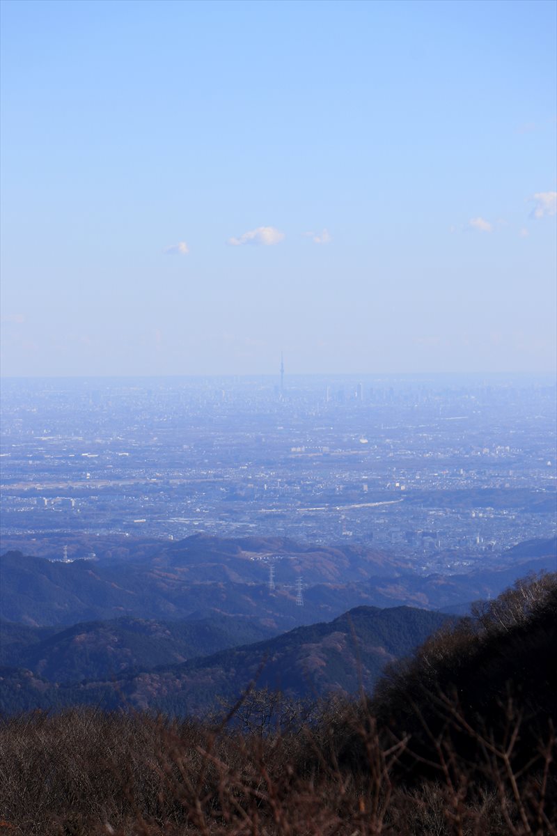 f:id:SISIS:20201222185802j:plain