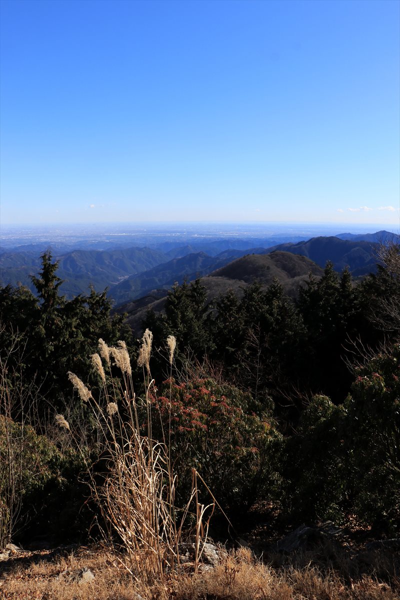 f:id:SISIS:20201222185900j:plain