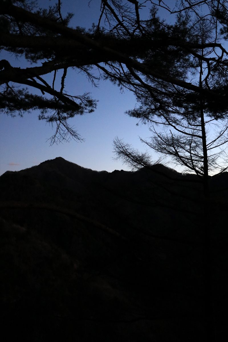 f:id:SISIS:20201222200127j:plain