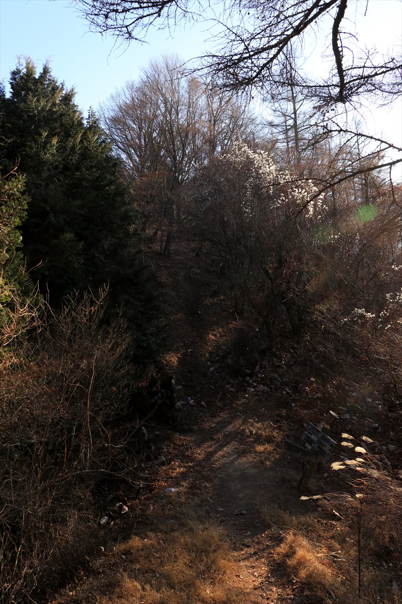 f:id:SISIS:20201222205751j:plain