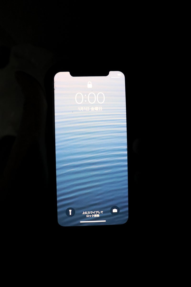 f:id:SISIS:20210121215517j:plain