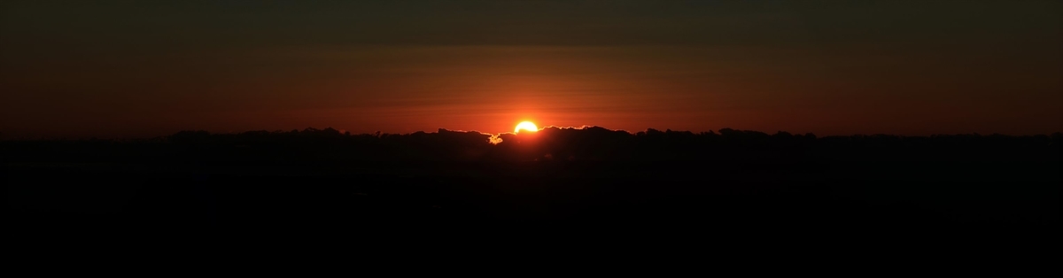 f:id:SISIS:20210121215630j:plain