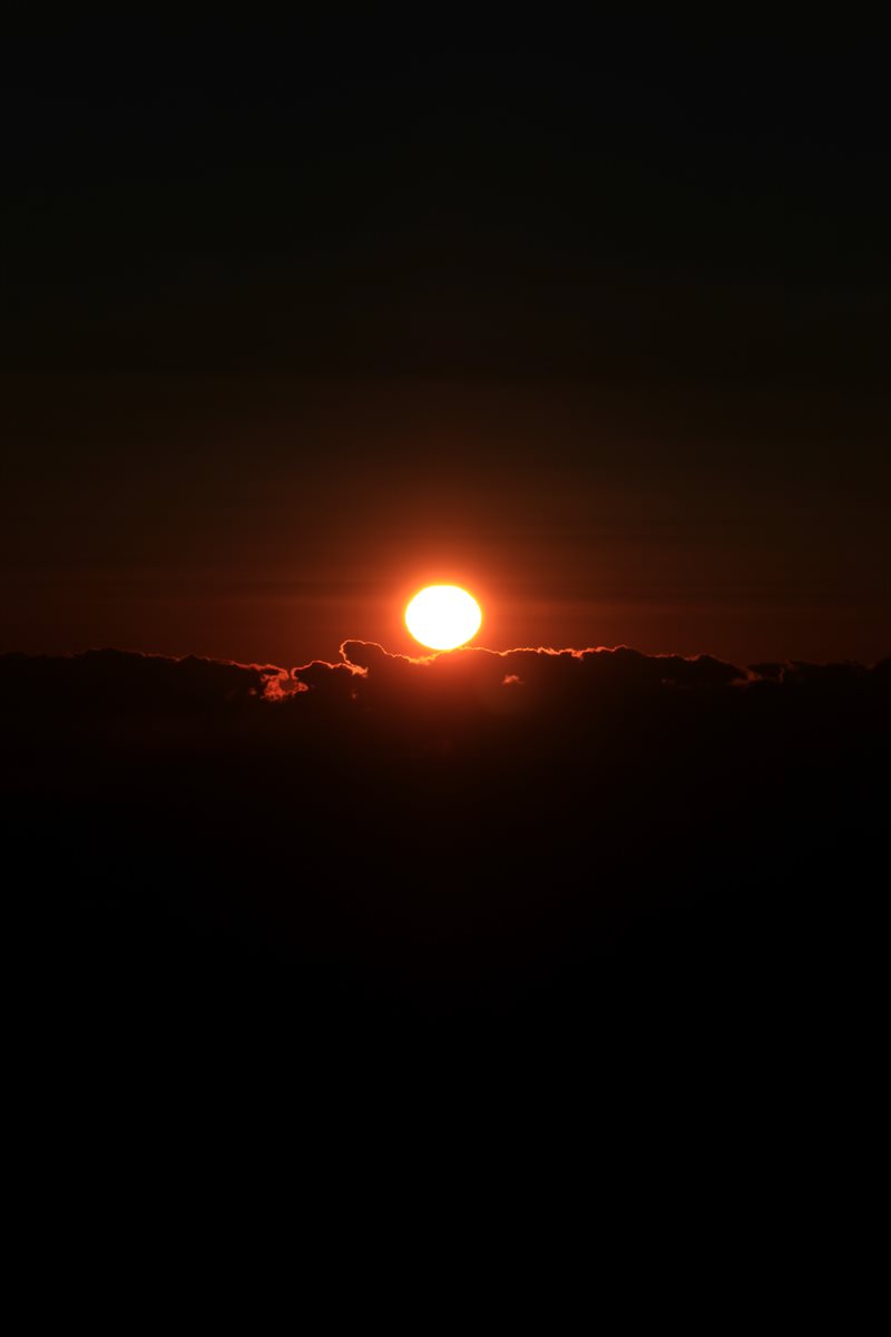 f:id:SISIS:20210121215635j:plain