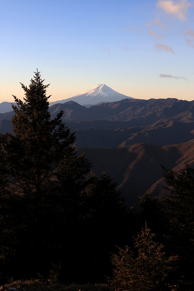 f:id:SISIS:20210121215734j:plain