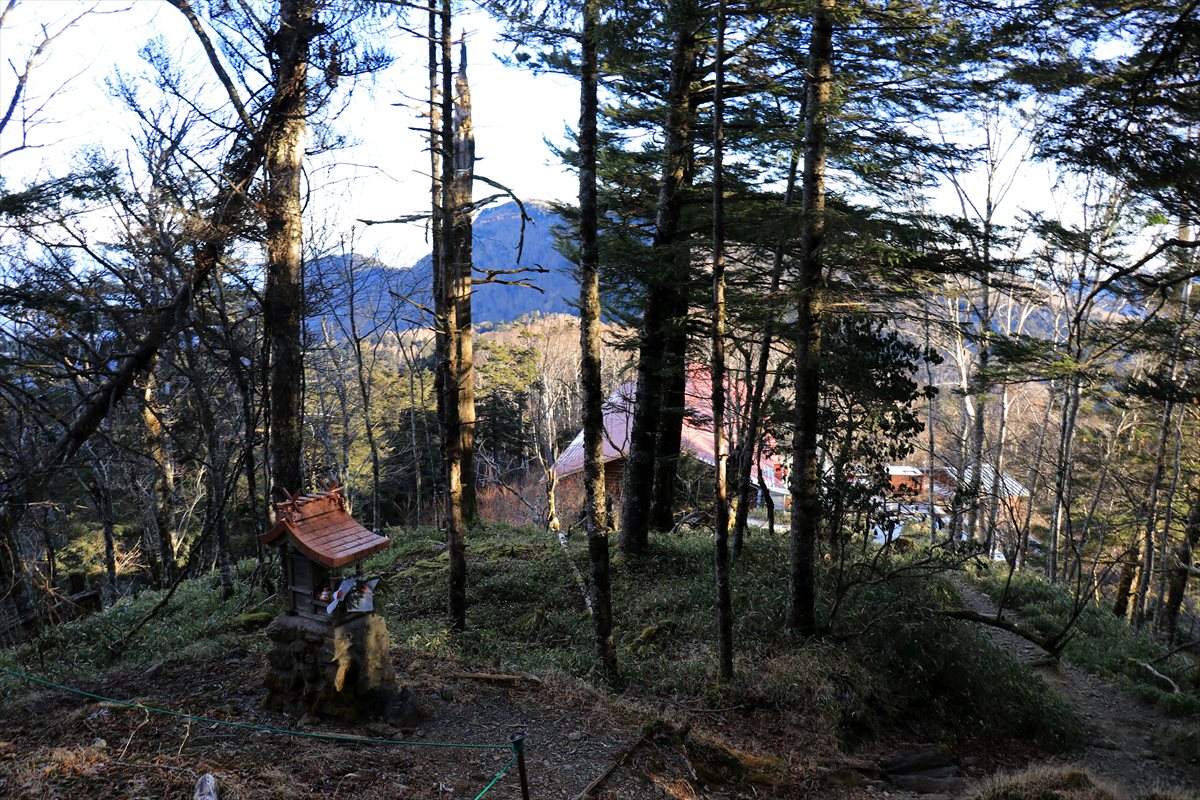 f:id:SISIS:20210121215840j:plain