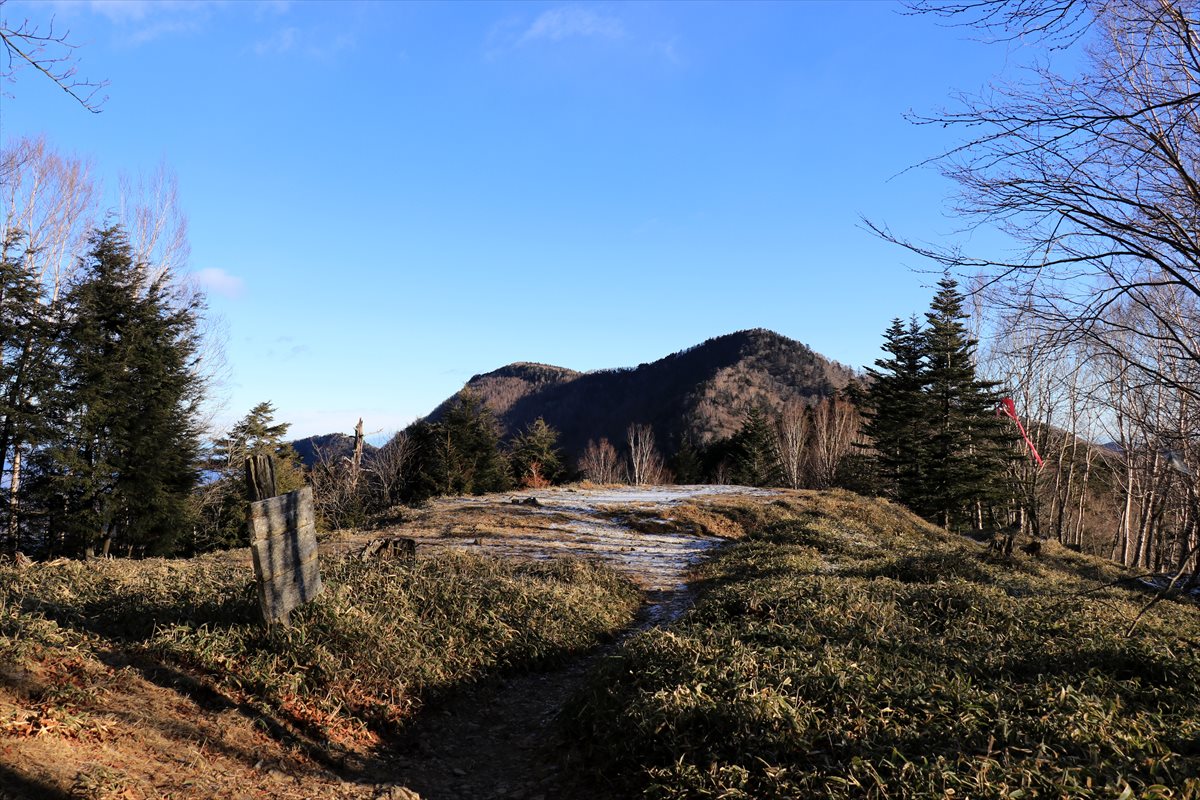 f:id:SISIS:20210121215859j:plain