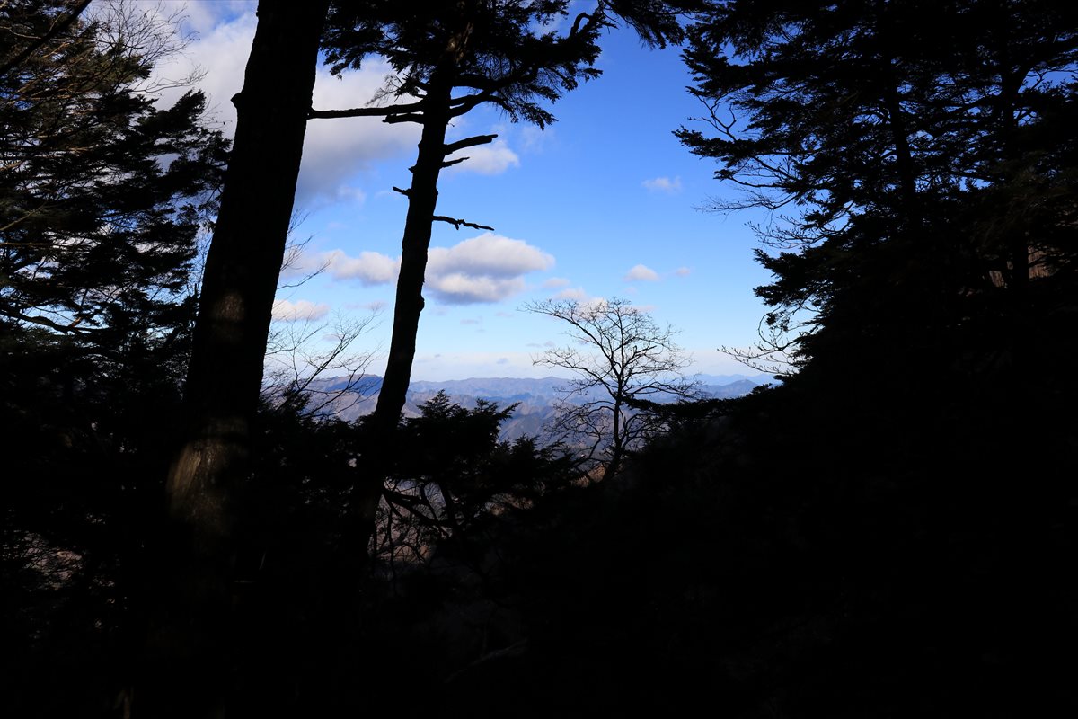 f:id:SISIS:20210121215941j:plain