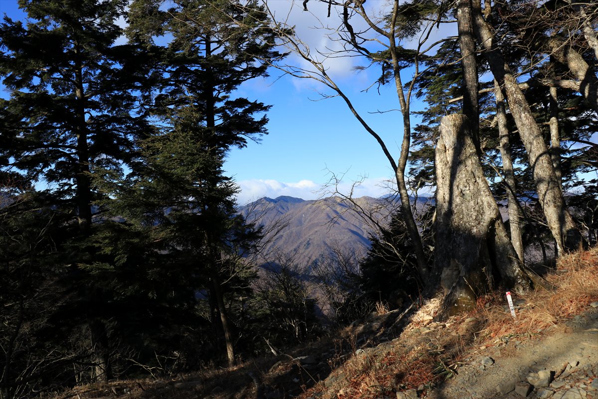 f:id:SISIS:20210121215954j:plain