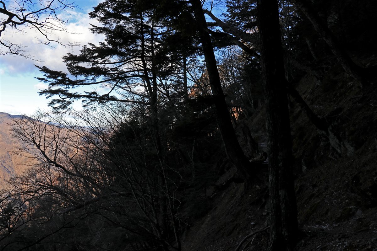 f:id:SISIS:20210121224206j:plain