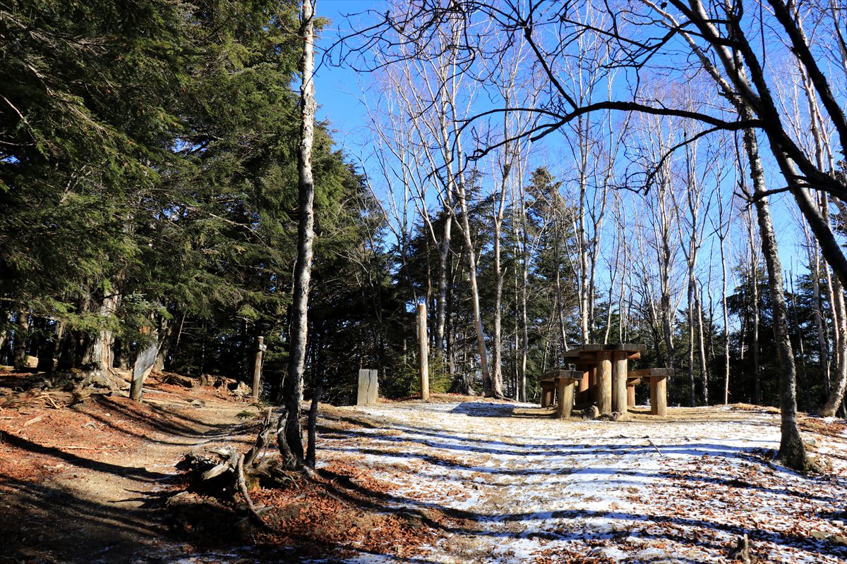 f:id:SISIS:20210121224232j:plain