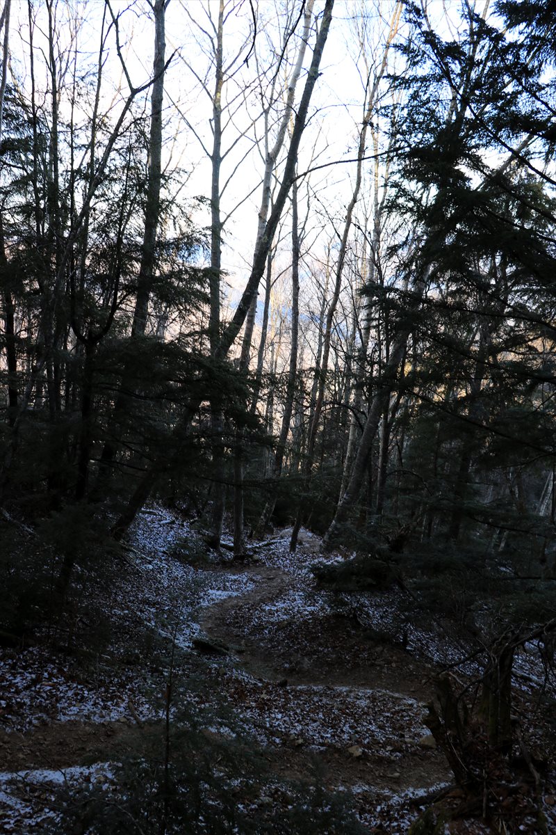 f:id:SISIS:20210121224236j:plain