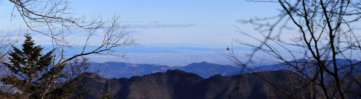 f:id:SISIS:20210121224310j:plain