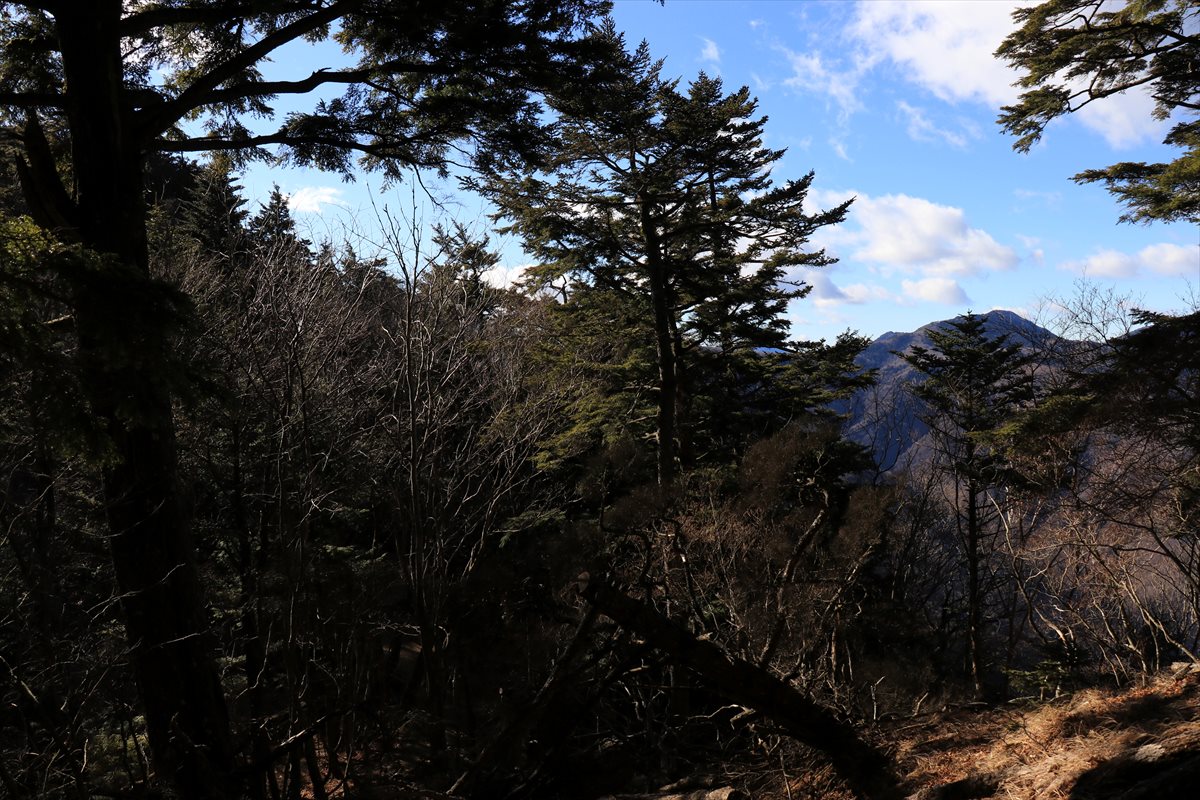 f:id:SISIS:20210121224314j:plain