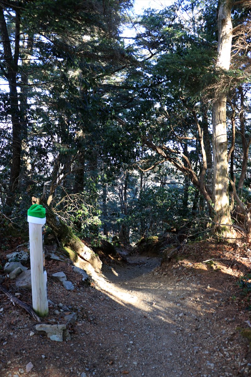 f:id:SISIS:20210121224325j:plain