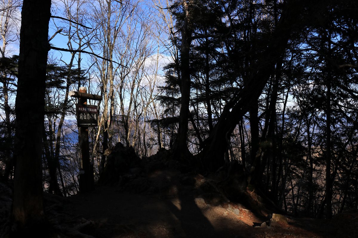 f:id:SISIS:20210121224330j:plain