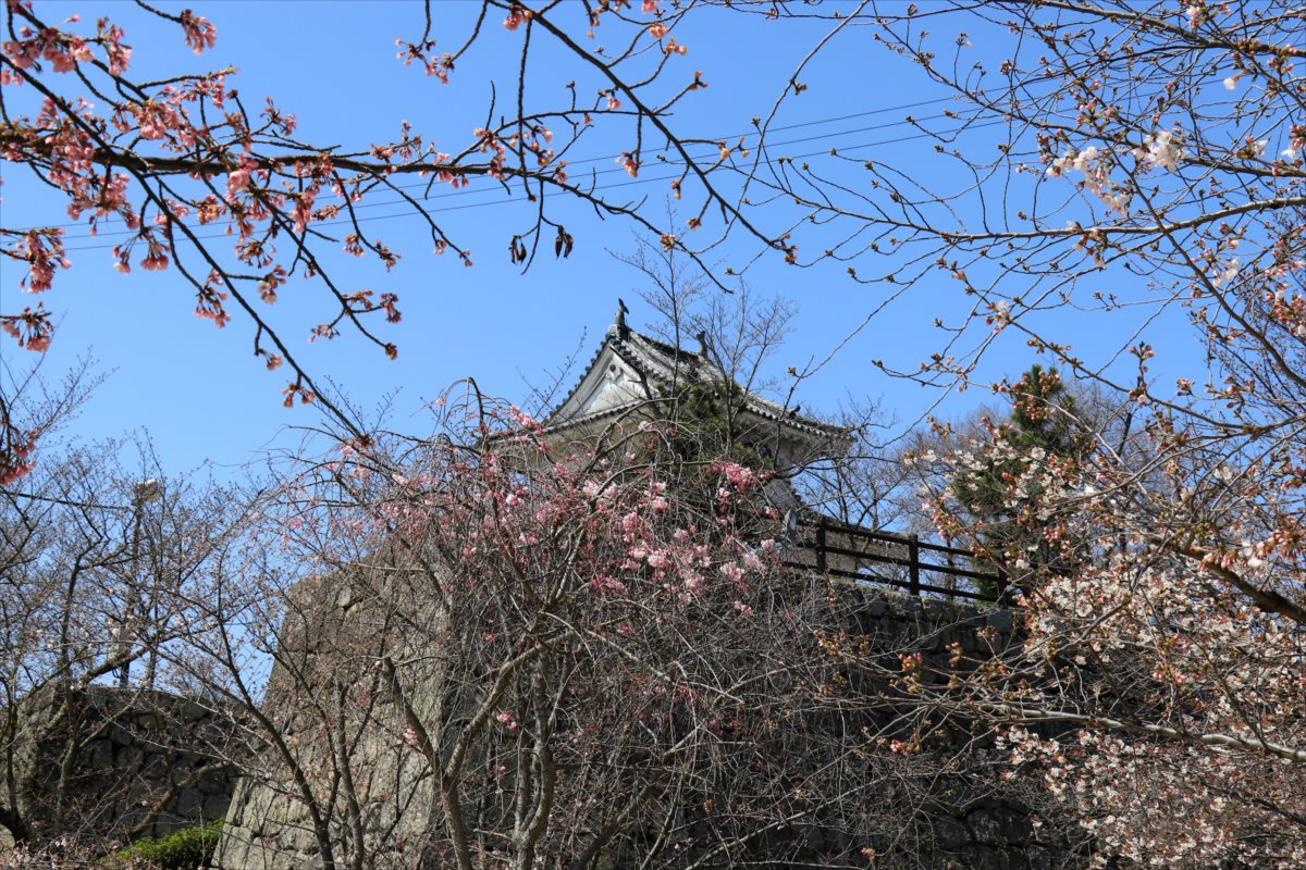 f:id:SISIS:20210412225218j:plain