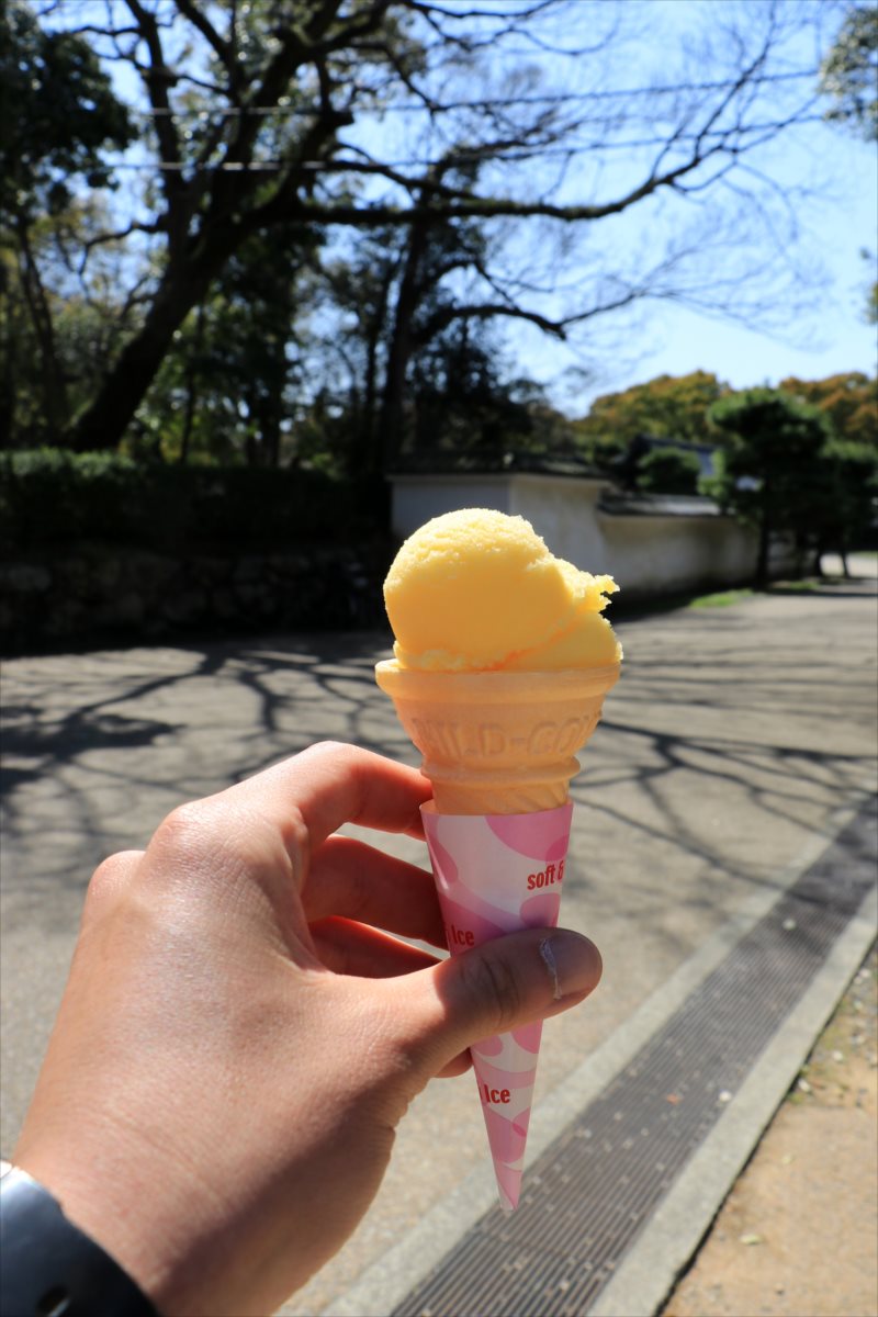 f:id:SISIS:20210412225354j:plain