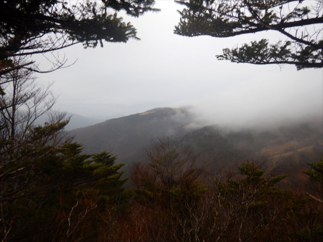 f:id:SISIS:20210426161641j:plain