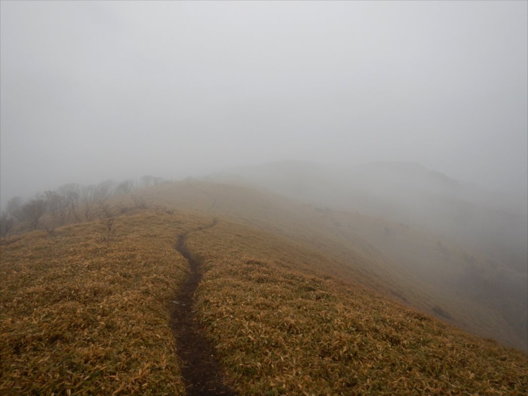 f:id:SISIS:20210426161703j:plain