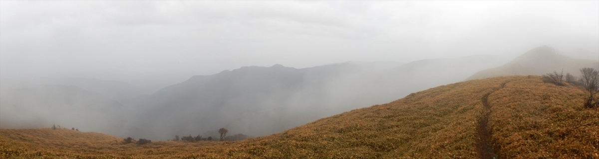 f:id:SISIS:20210426161707j:plain