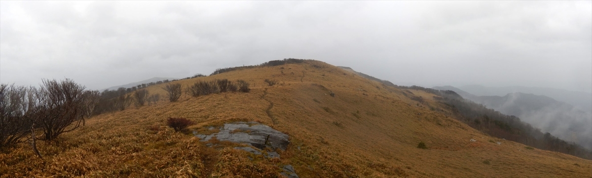 f:id:SISIS:20210426161711j:plain