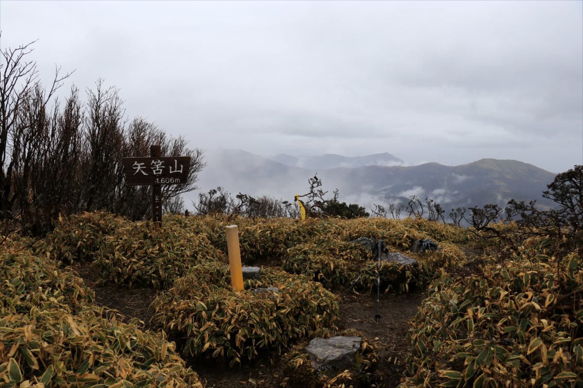 f:id:SISIS:20210426161909j:plain