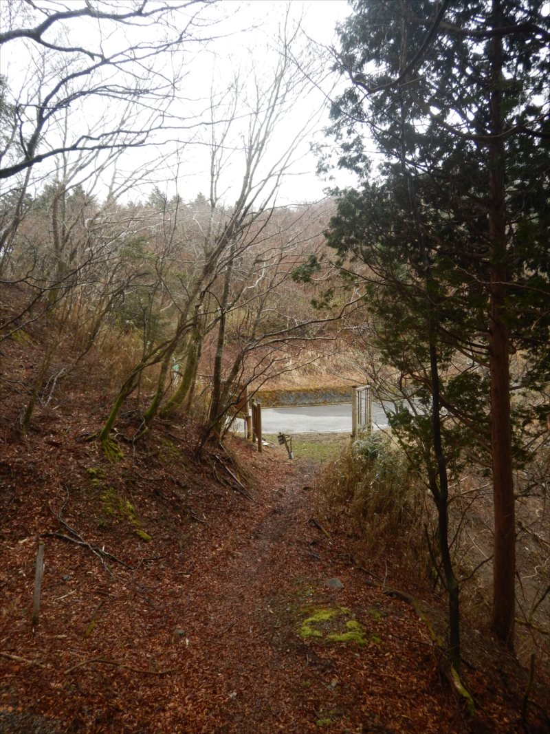 f:id:SISIS:20210426162005j:plain