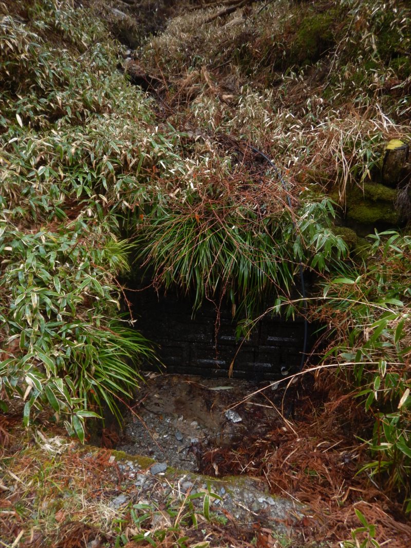 f:id:SISIS:20210426162016j:plain