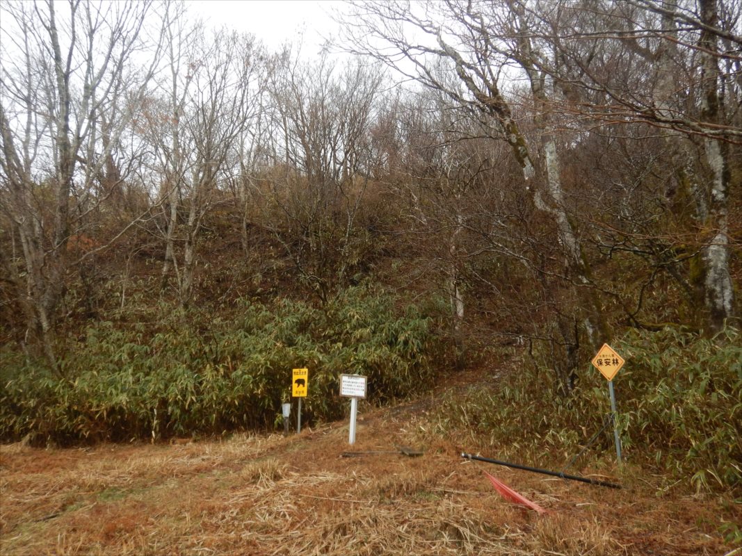 f:id:SISIS:20210426162027j:plain