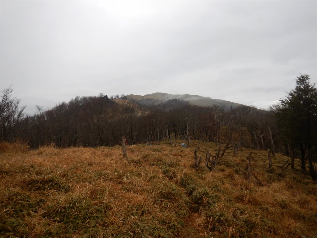 f:id:SISIS:20210426162128j:plain