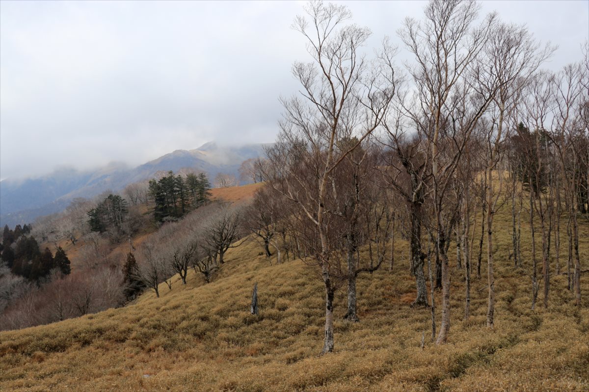 f:id:SISIS:20210426162535j:plain