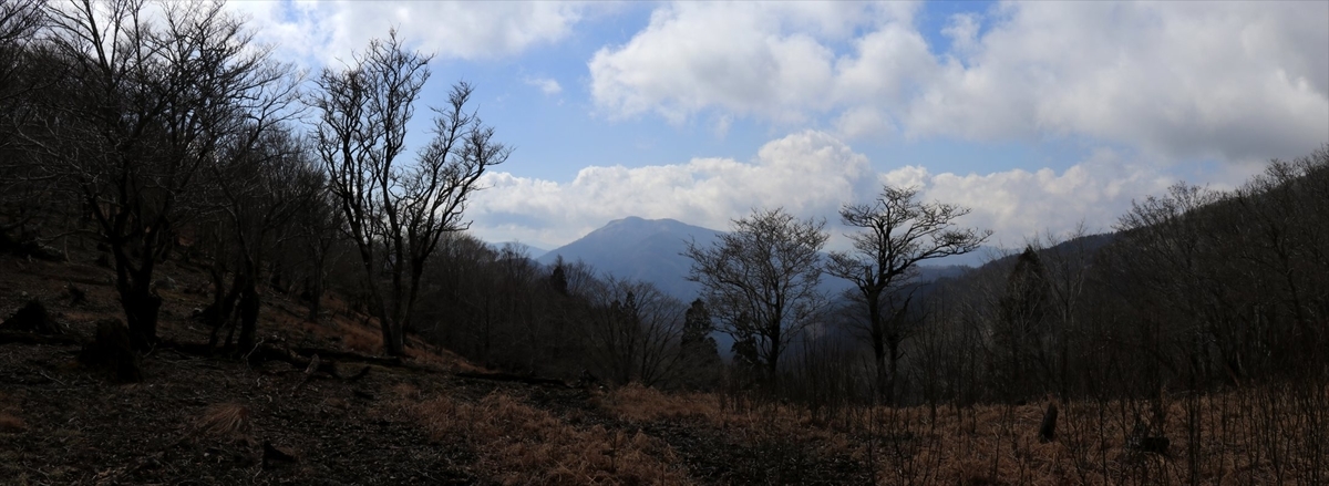 f:id:SISIS:20210426162607j:plain