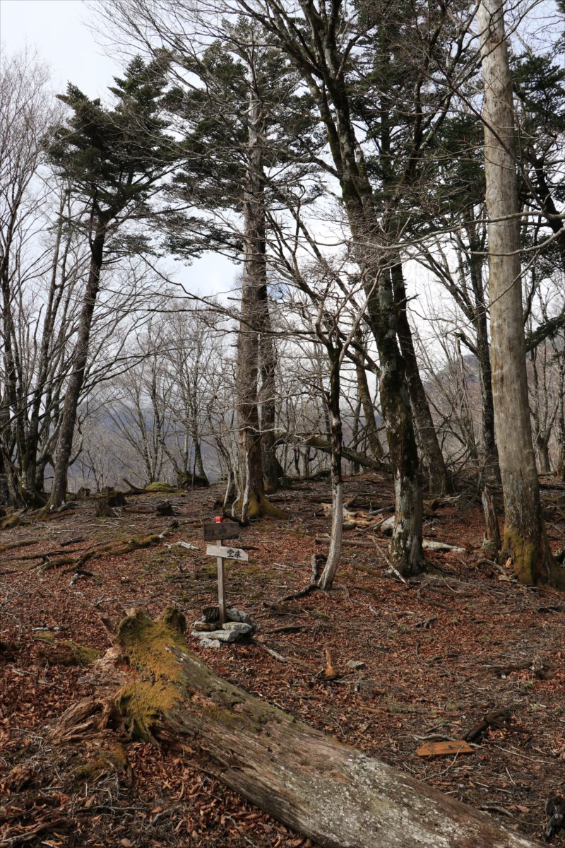 f:id:SISIS:20210426162611j:plain