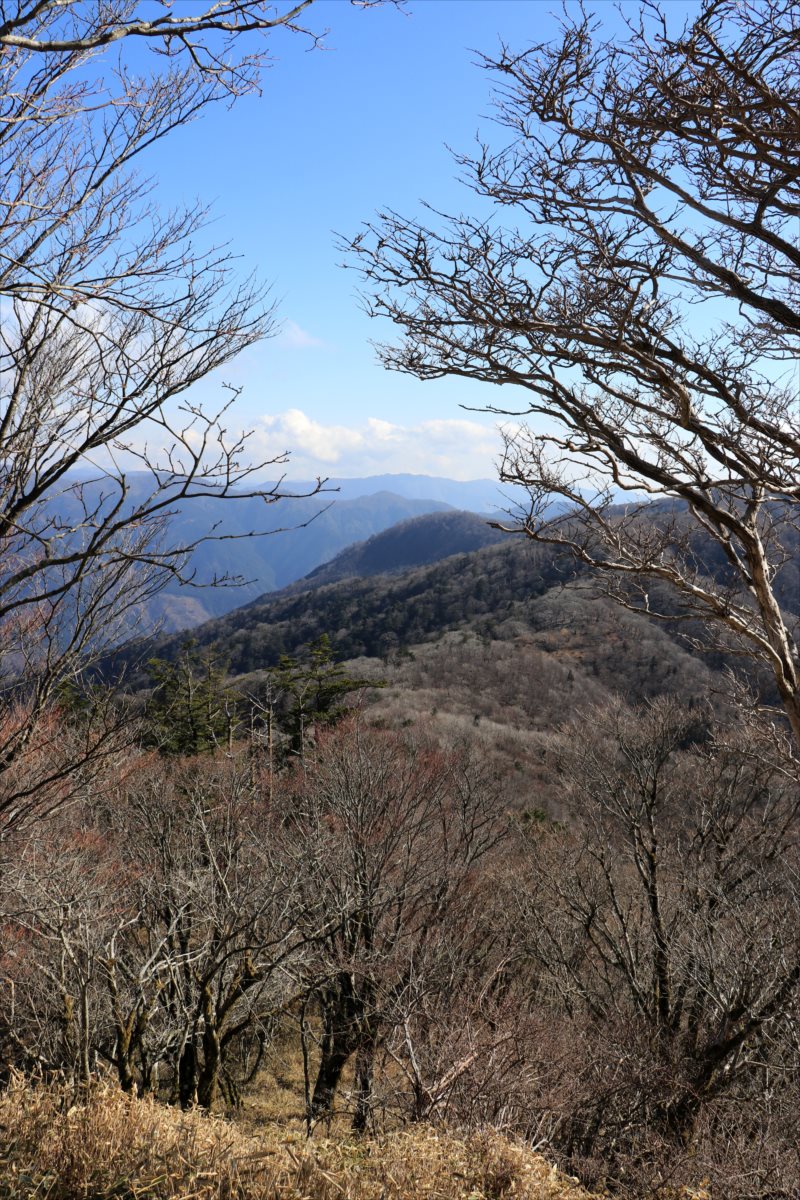 f:id:SISIS:20210426162641j:plain