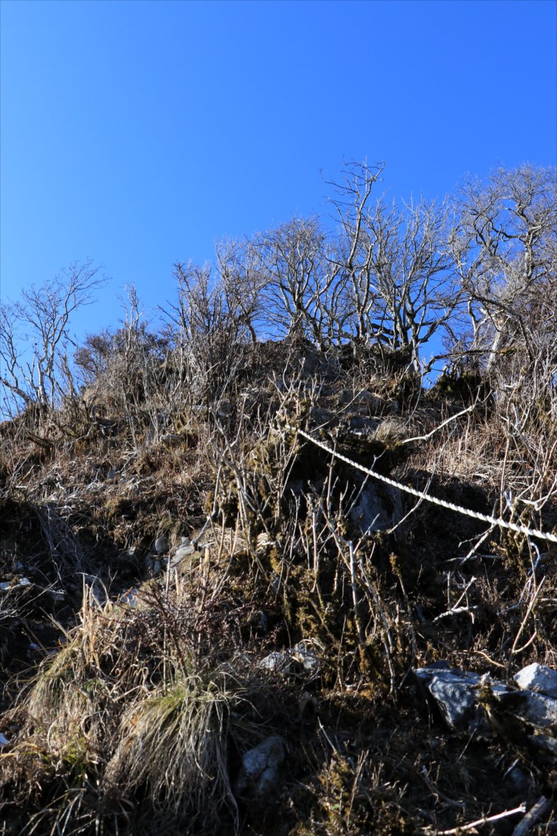 f:id:SISIS:20210426162746j:plain