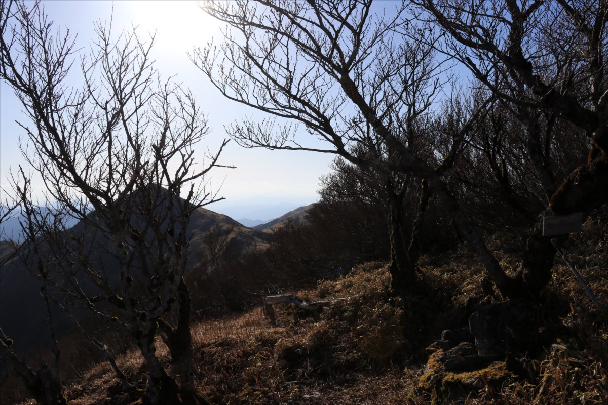 f:id:SISIS:20210426162801j:plain