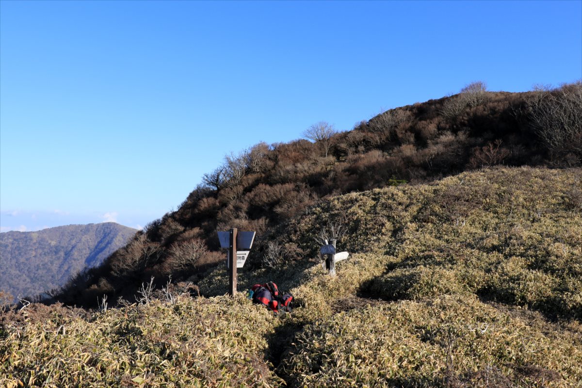 f:id:SISIS:20210426162837j:plain