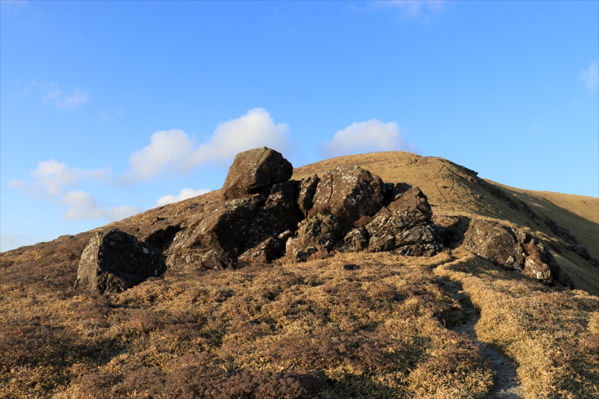 f:id:SISIS:20210426162945j:plain