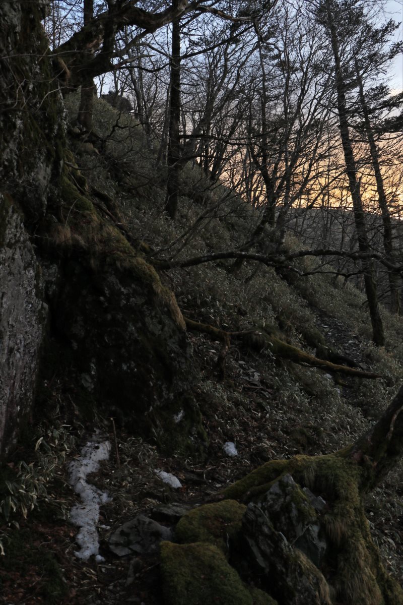 f:id:SISIS:20210426163005j:plain