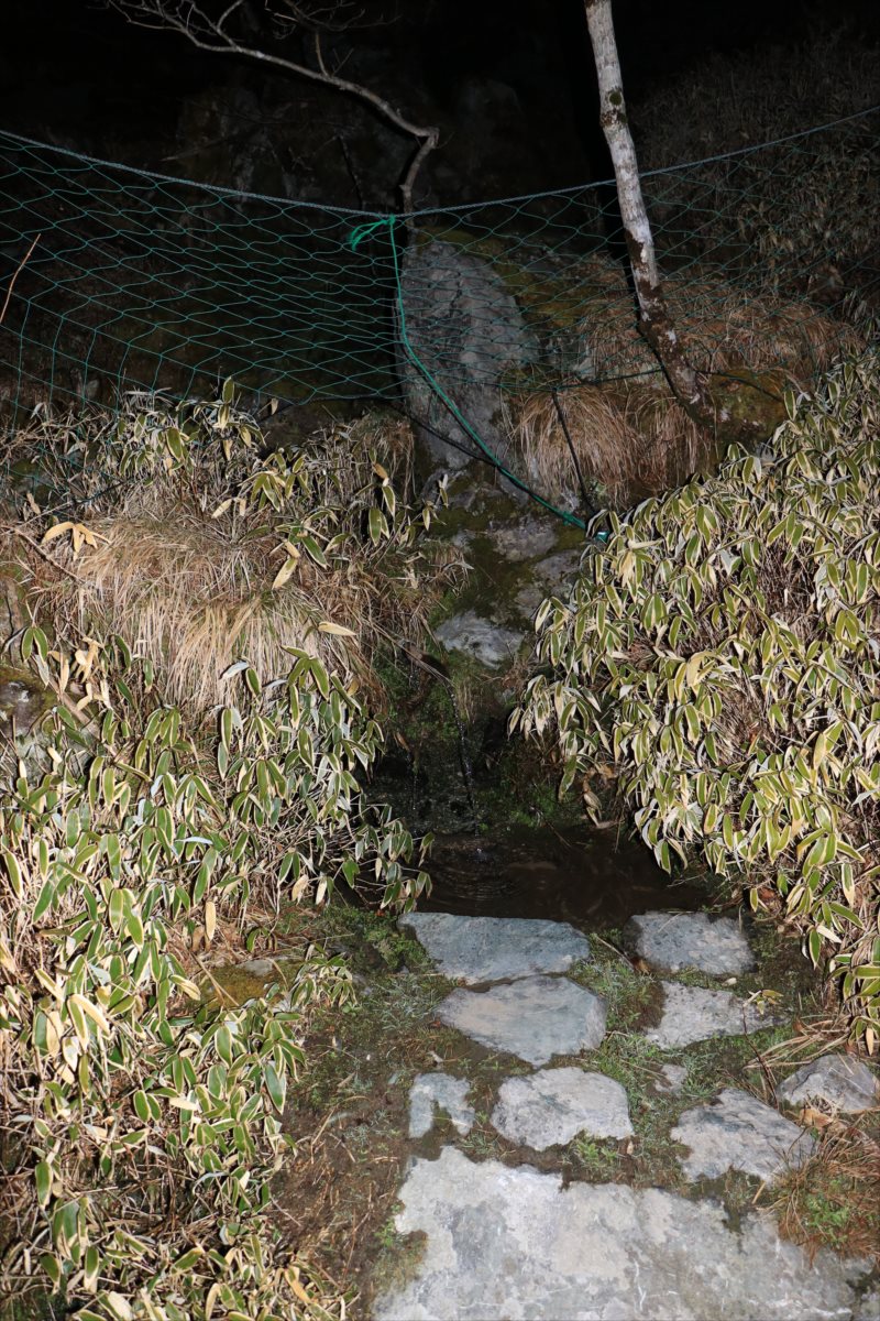 f:id:SISIS:20210426163030j:plain