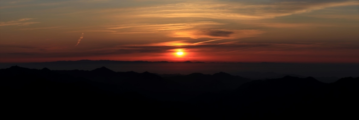 f:id:SISIS:20210426165151j:plain