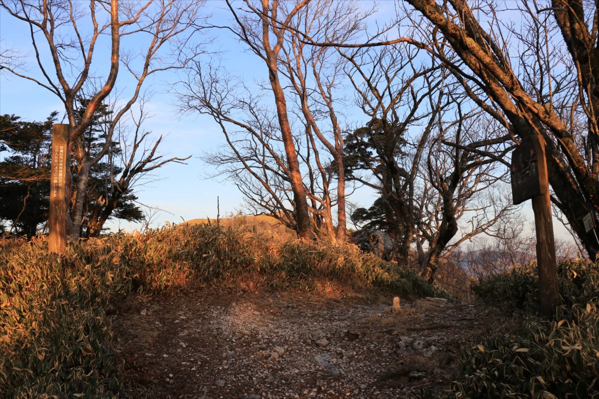 f:id:SISIS:20210426165235j:plain