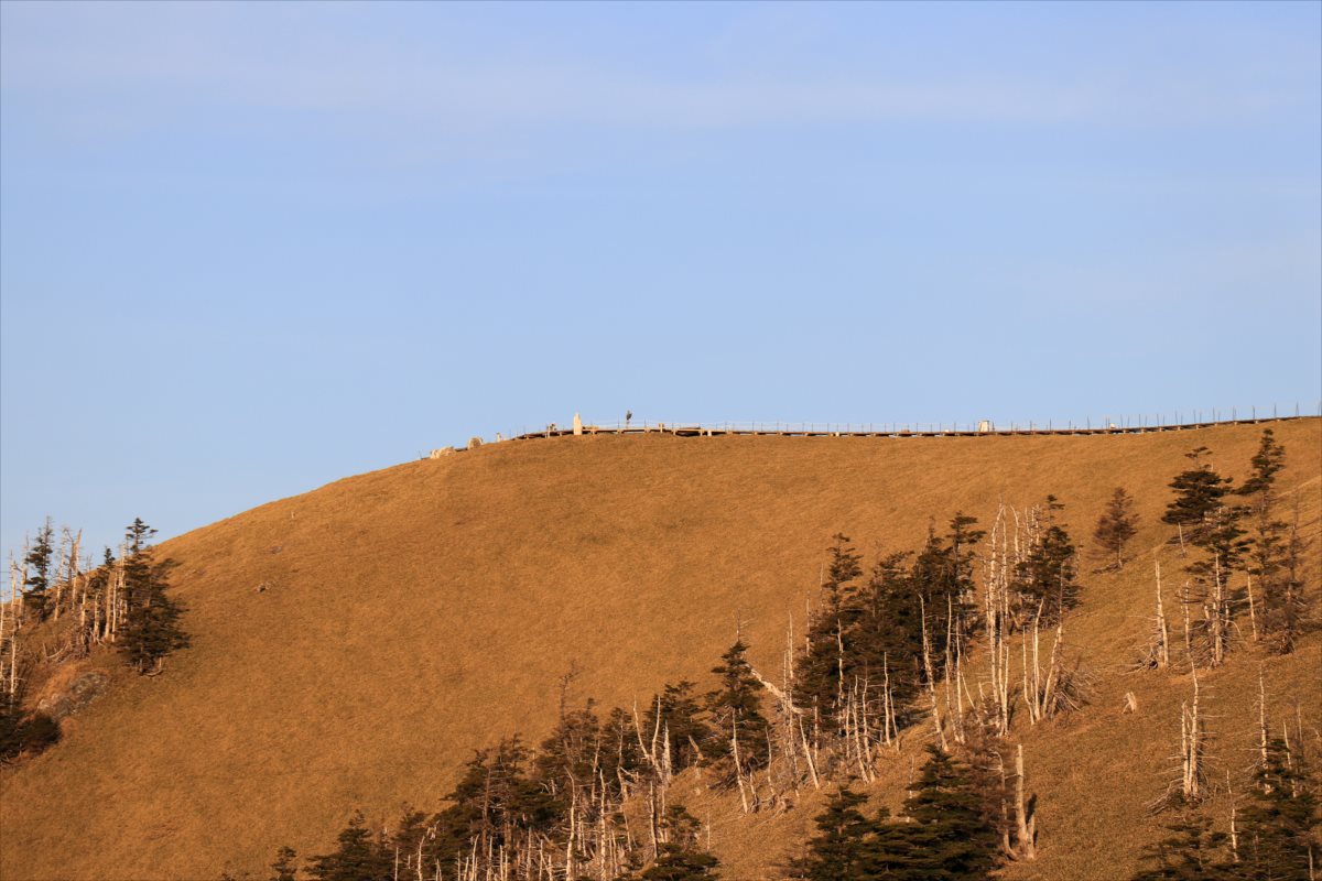 f:id:SISIS:20210426165249j:plain