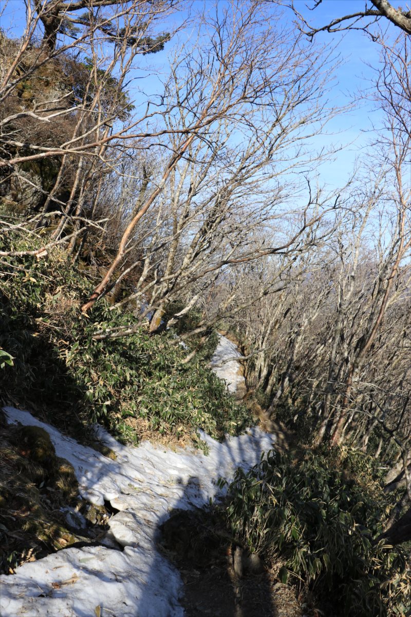 f:id:SISIS:20210509205710j:plain