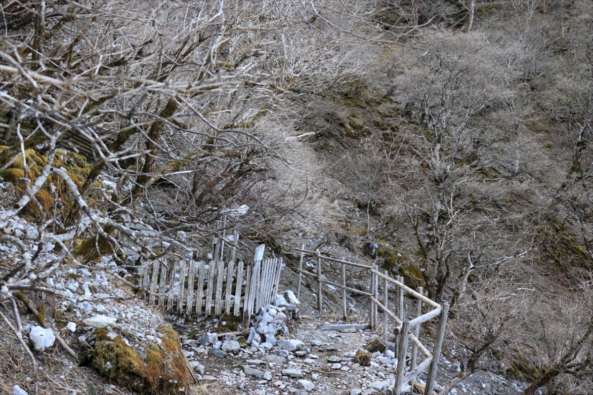 f:id:SISIS:20210509205733j:plain