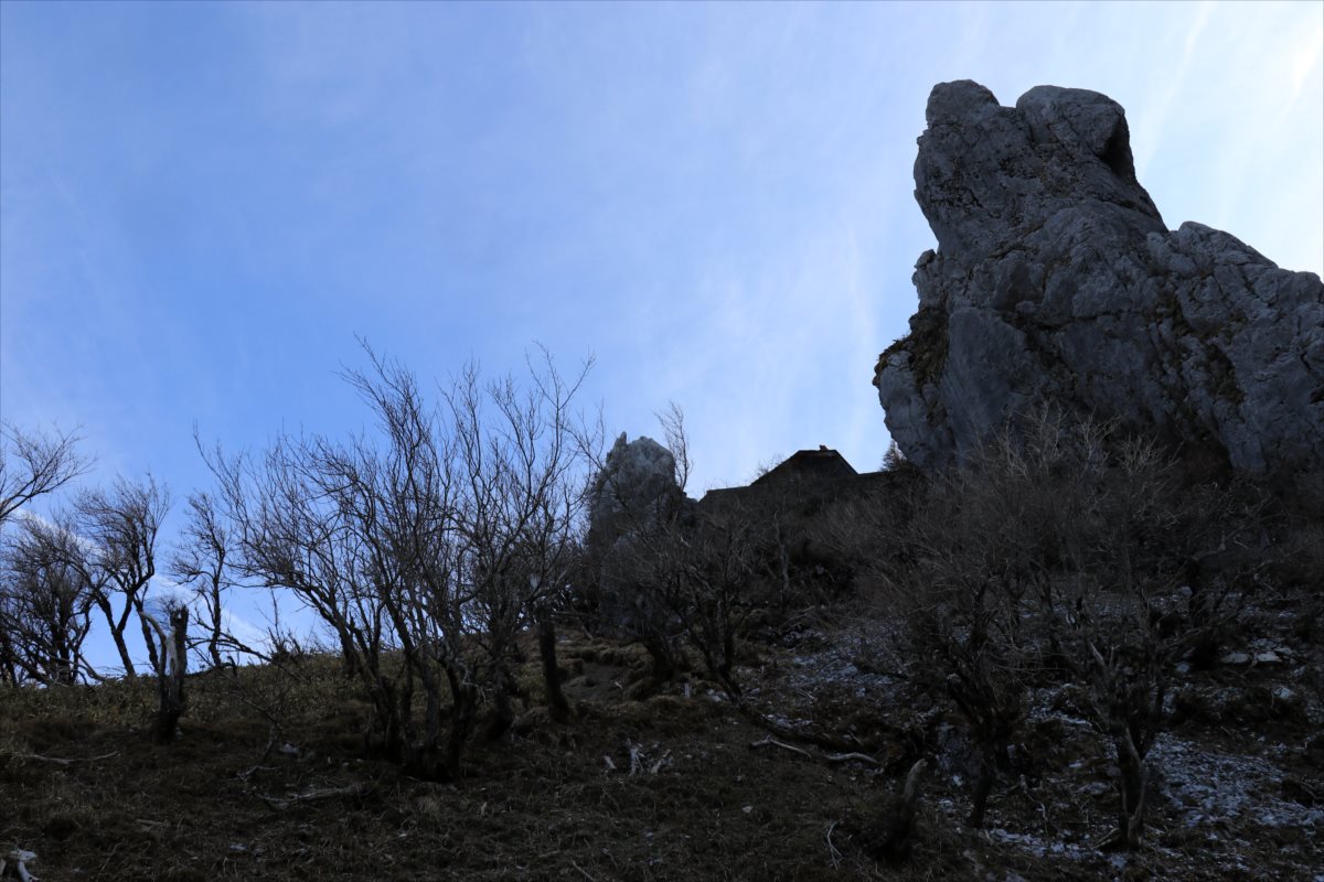 f:id:SISIS:20210509205753j:plain