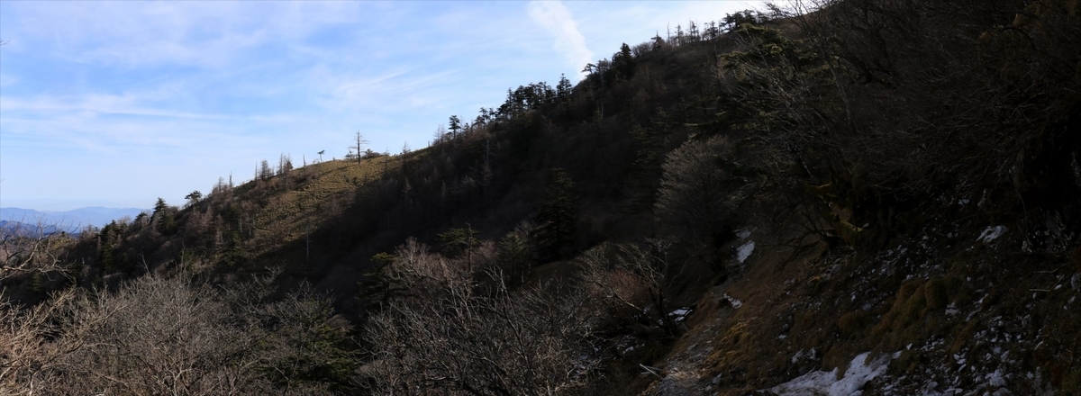 f:id:SISIS:20210509205757j:plain