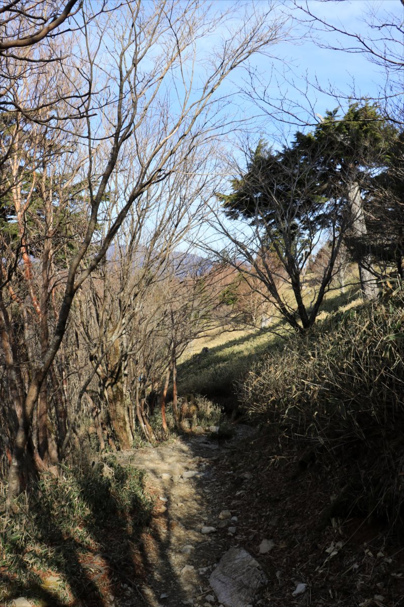 f:id:SISIS:20210509205854j:plain