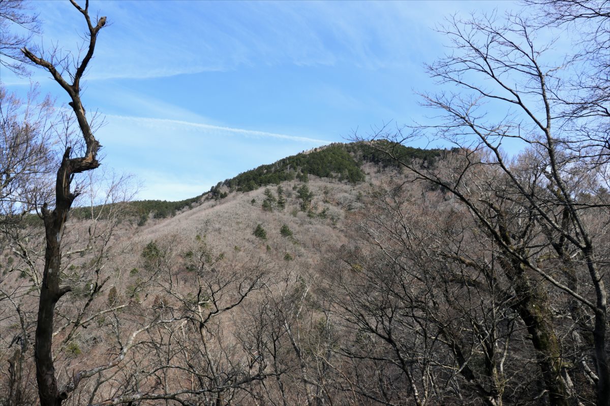 f:id:SISIS:20210509205913j:plain