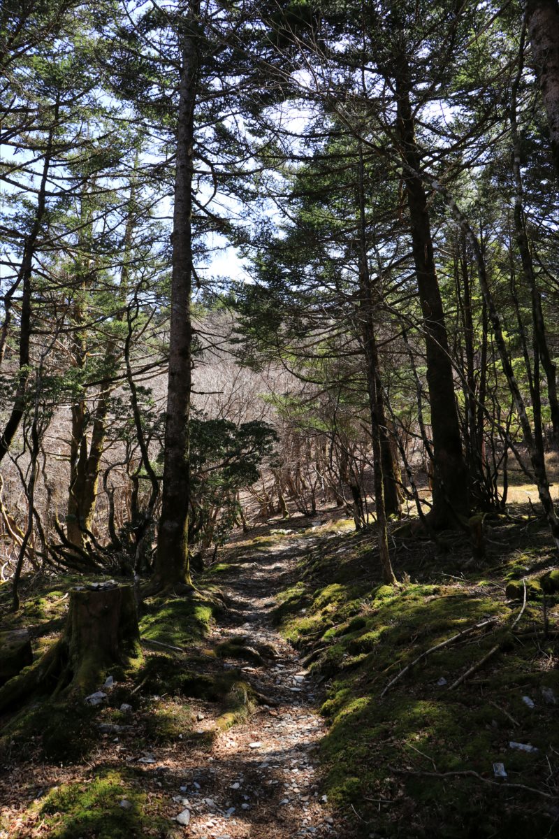 f:id:SISIS:20210509210515j:plain